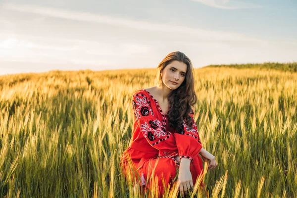 Joven Hermosa Mujer Con Vestido Bordado Tradicional Ucraniano Campo Trigo —  Fotos de Stock