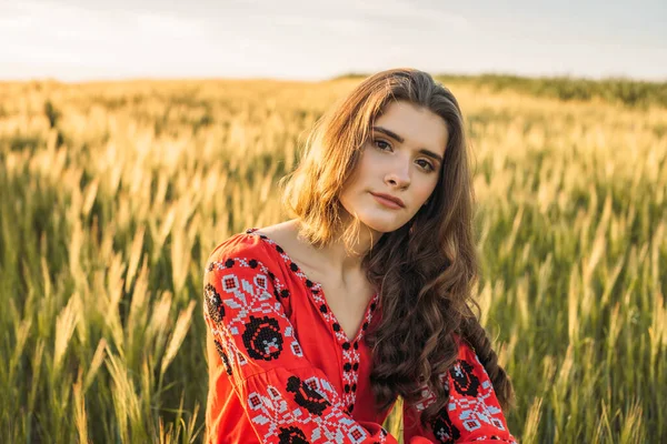 Joven Hermosa Mujer Con Vestido Bordado Tradicional Ucraniano Campo Trigo —  Fotos de Stock