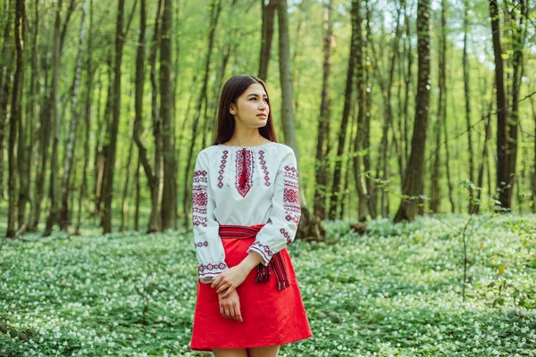 Ritratto Giovane Bella Donna Ucraina Vyshyvanka Vestiti Nazionali Ucraini Stare — Foto Stock