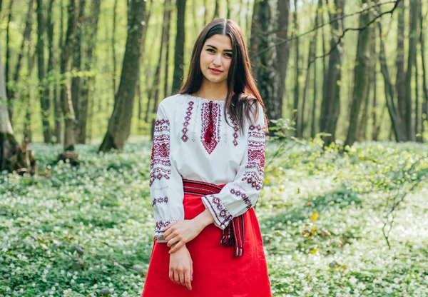 Vyshyvanka Daki Güzel Ukraynalı Kadın Portresi Ukrayna Ulusal Kıyafetleri Ukrayna Telifsiz Stok Fotoğraflar