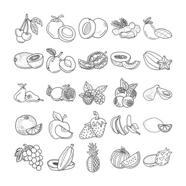Fruits Hand Drawn Art Outline Set Karpuz, Mango, Avocado, Melon, Tamarind, Durian, Apple, Dragon fruit, Pomegranate, Strawberry, Raspberry, Peach, Plum, Orange, Lemon, Rose apple, Cherry, Blueberry, Grape, Pineapple, Coconut