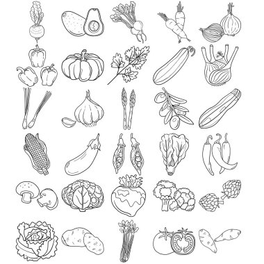 Sebzeler El Çizimi Çizimi Sanat Taslağı: Avokado, Enginar, Kuşkonmaz, Mısır, Mantar, Brokoli, Karnabahar, Salatalık, Biber, Biber, Domates, Havuç, Kabak, Kabak, Patates, Patates, Tatlı Patates, Şalgam, Kabak, Zucchini,