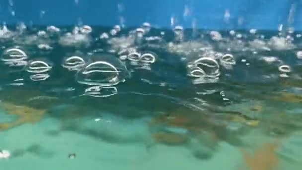 魚池の滝からの気泡 — ストック動画