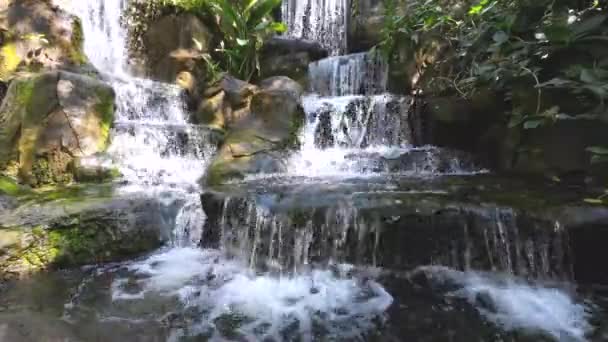 Kleiner Wasserfall Schatten Der Natur — Stockvideo
