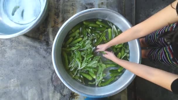 Woman Washing Various Vegetables — Stockvideo