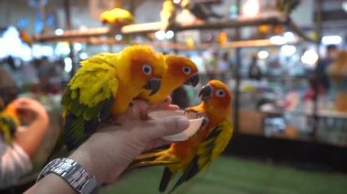 Adamın elindeki bardaktan yapılar eriyor..