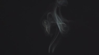The steam smoke of on a black background. It is abstract
