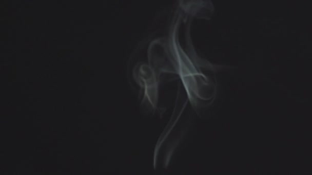 Steam Smoke Black Background Abstract — Vídeo de stock