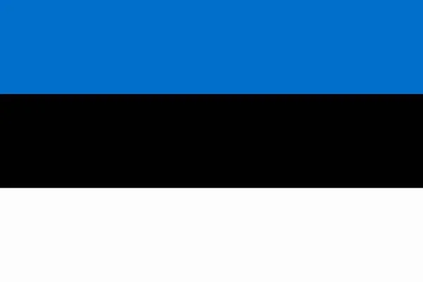 Abstract Flag Estonia Vector Illustration — Stockový vektor