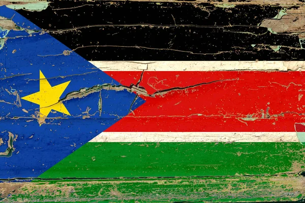 Flag South Sudan Old Wood Wall Background — Stockfoto