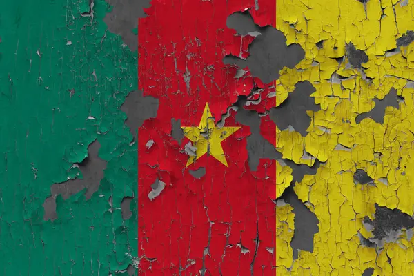 Bandiera Del Camerun Vecchio Sfondo Muro Pietra — Foto Stock