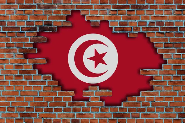 Fahne Von Tunesien Hinter Dem Zerbrochenen Alten Steinmauer Hintergrund — Stockfoto