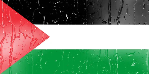 Bandera Palestina Sobre Vaso Con Fondo Gota Agua —  Fotos de Stock