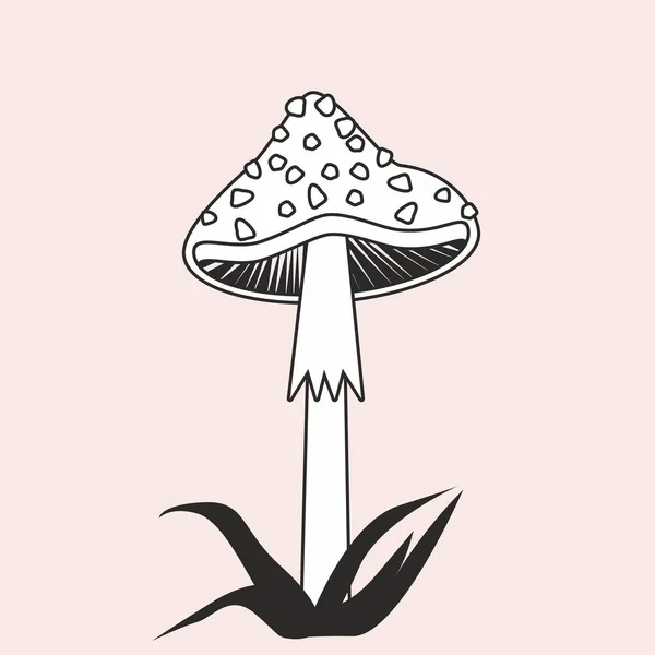 Mantarın vektör alanı. Tek çizgi şeklinde yapılmış minimalist bir nesne. Sihirli mantarlar. Amanita..