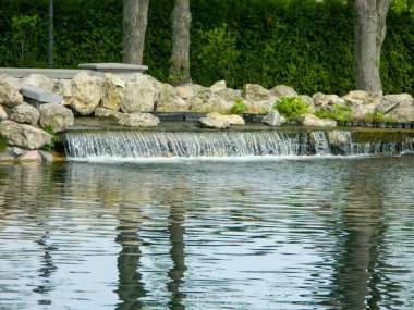 Peyzaj tasarımı. Park mimarisi. Yaz manzarası. Yüksek kalite fotoğraf
