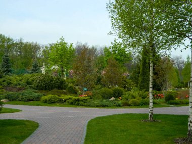 Peyzaj tasarımı. Park mimarisi. Yaz manzarası. Yüksek kalite fotoğraf