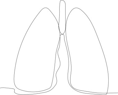 Pulmoner akciğer vektör grafik tasarımı 