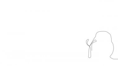 Endişeli, orta yaşlı, 50 'li yaşlarda, kronik baş ağrısı çeken, stres patlaması yaşayan, migren ağrısı çeken bir iş kadını. Yüksek kaliteli FullHD görüntüler