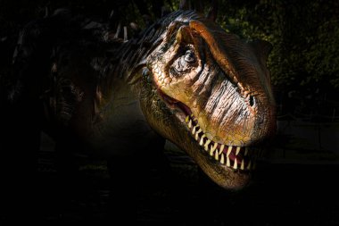 Karanlık arka plandaki dinozorun başı. Tyrannosaurus Rex ya da T-Rex, Kretase döneminde yaşamış, Coelurosaurian Theropod dinazorunun etobur bir cinsidir. Yüksek kalite fotoğraf