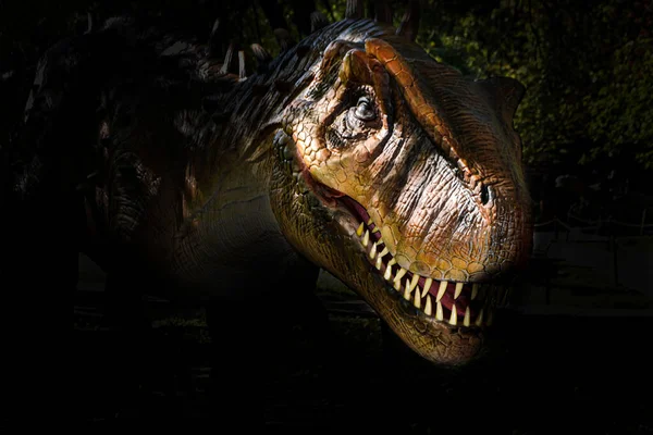 暗い背景の恐竜の頭 ティラノサウルス レックス Tyrannosaurus RexまたはT Rex 白亜紀に生息したコエルロサウルス類の獣脚類恐竜の肉食性属である 高品質の写真 — ストック写真