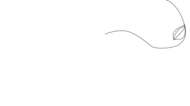 Yağlı, ballı, limonlu veya limonlu şişelerin animasyon çizimi ve doğal bitkisel cilt bakım ürünleriyle vücut bakımı. Yüksek kaliteli FullHD görüntüler