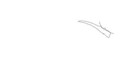 Yağlı, ballı, limonlu veya limonlu şişelerin animasyon çizimi ve doğal bitkisel cilt bakım ürünleriyle vücut bakımı. Yüksek kaliteli FullHD görüntüler