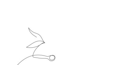 Yağlı, ballı, limonlu veya limonlu şişelerin animasyon çizimi ve doğal bitkisel cilt bakım ürünleriyle vücut bakımı. Yüksek kaliteli FullHD görüntüler