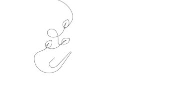 Animated self drawing of bottles with oil or honey or lemon or lime juice for scrubbing and body skin care with natural herbal skin care products. High quality FullHD footage