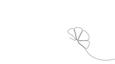 Animated self drawing of bottles with oil or honey or lemon or lime juice for scrubbing and body skin care with natural herbal skin care products. High quality FullHD footage