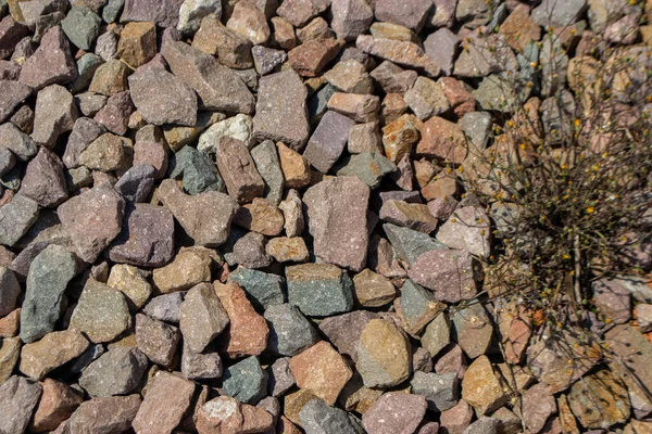 Wild Green Grass Grows Grey Color Crushed Granite Limestone Coarse — Stock Photo, Image