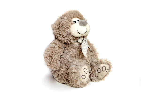 Lovely Brown Bear Doll Isolated White Background Adorable Teddy Bear — Fotografia de Stock