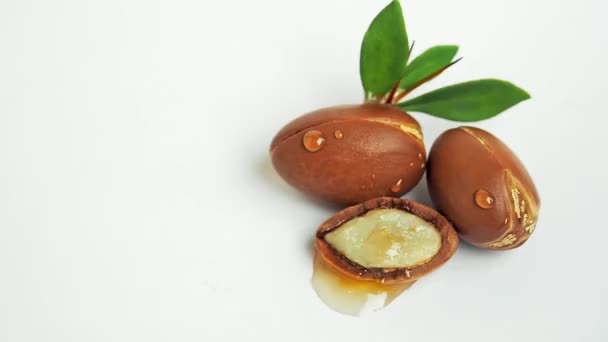 Setetes minyak argan menetes di kacang argan dengan daun hijau di latar belakang putih. — Stok Video