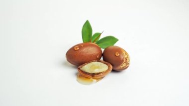 Beyaz arka planda yeşil yapraklı Argan fındıkları. 