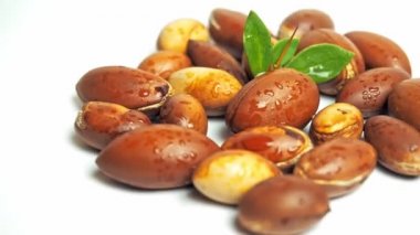 Yeşil yapraklı Argan fındıkları izole edilmiş beyaz arka planda hareket ediyor.