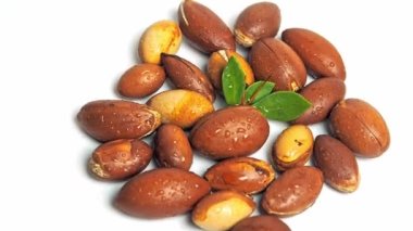 Yeşil yapraklı Argan fındıkları izole edilmiş beyaz arka plan görünümünde hareket ediyor