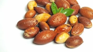 Yeşil yapraklı Argan fındıkları izole edilmiş beyaz arka plan görünümünde hareket ediyor