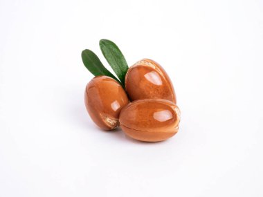 Beyaz izole edilmiş arka planda yeşil yapraklı Fas Argan fındıkları. Argan tohumları, petrol üretimi için.