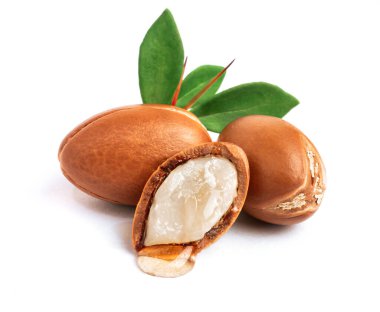  İzole edilmiş beyaz arka planda yeşil yapraklı üç argan fındığı. Bir damla yağla doğranmış argan fındığı. Petrol üretimi için tam ve yarım Fas Argania Spinosa tohumları