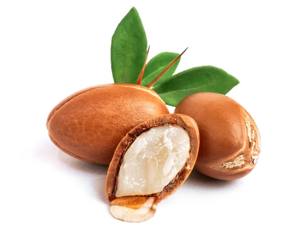 Tři arganové ořechy se zelenými listy na izolovaném bílém pozadí. Nakrájený arganový ořech s kapkou oleje. Celá a půl marocká semena Argania Spinosa pro výrobu oleje Stock Fotografie
