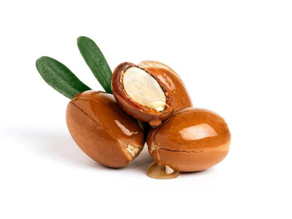  İzole edilmiş beyaz arka planda yeşil yapraklı üç argan fındığı. Bir damla yağla doğranmış argan fındığı. Petrol üretimi için tam ve yarım Fas Argania Spinosa tohumları