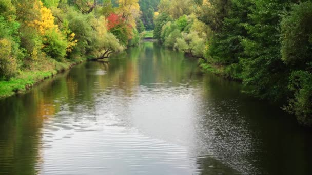 秋天的风景 河流被绿色 黄色和橙色的树木环绕着 树木倒映在水面上 森林在背景上 风吹过水面和树叶 — 图库视频影像