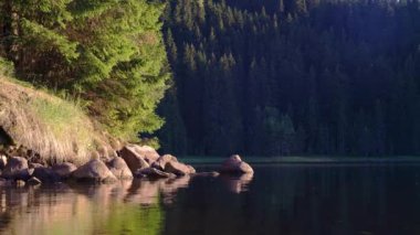 Forest lake in sunset. Camera moves slowly, panning left. Soft light. Insects, bugs fly over the water surface. Mountain range in background.