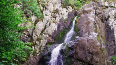 Waterfall and stone cliffs in the summer landscape. Green trees and twigs slowly moving by the wind.