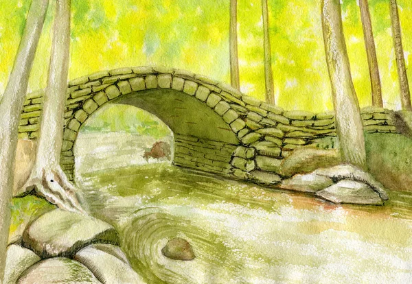 Watercolor Landscape Stone Bridge Forest Stream Rocky Shore Tree Trunks — 图库照片