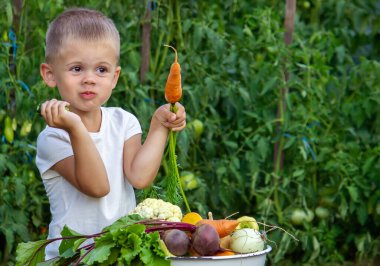 Çiftlikteki çocukların ellerinde sebzeler. Seçici odaklanma. Doğa