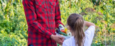 Adamın biri elinde çiftlikten taze sebzelerle dolu bir kase tutuyor. Doğa. Seçici odak