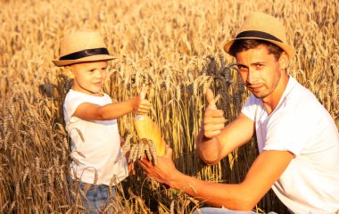 a child in a wheat field eats bread. Selective focus