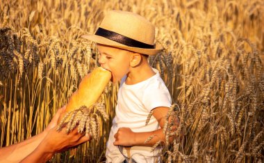 a child in a wheat field eats bread. Selective focus