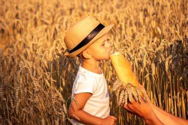 a child in a wheat field eats bread. Selective focus