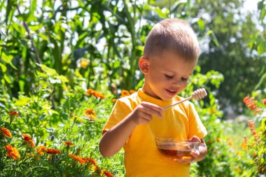 the child eats honey. Nature. Selective focus